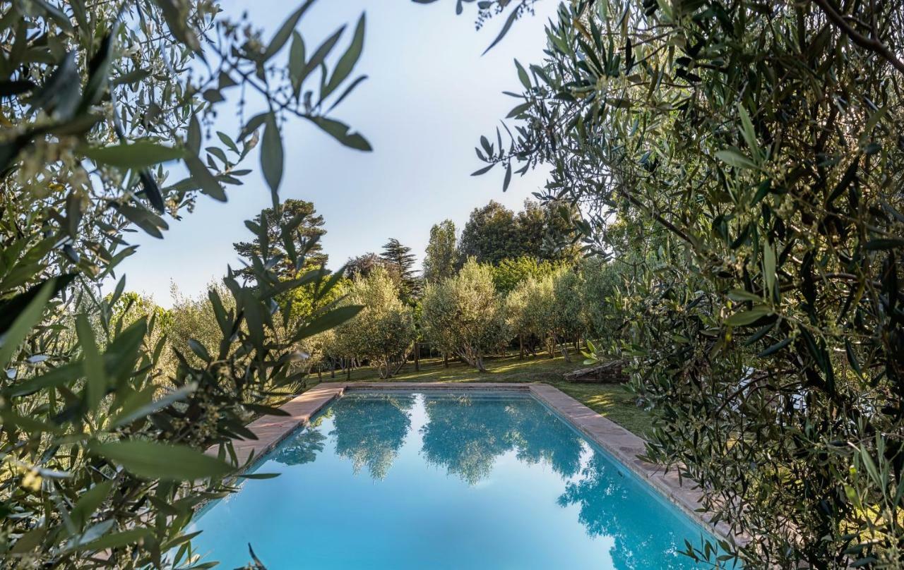 فيلا Longfield House ستيلينبوش المظهر الخارجي الصورة