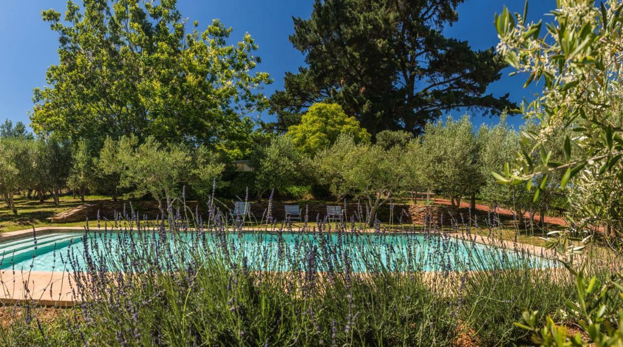 فيلا Longfield House ستيلينبوش المظهر الخارجي الصورة
