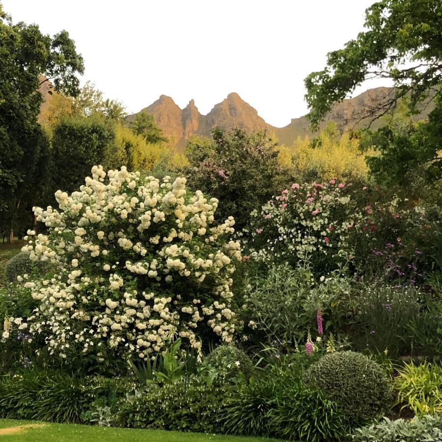 فيلا Longfield House ستيلينبوش المظهر الخارجي الصورة